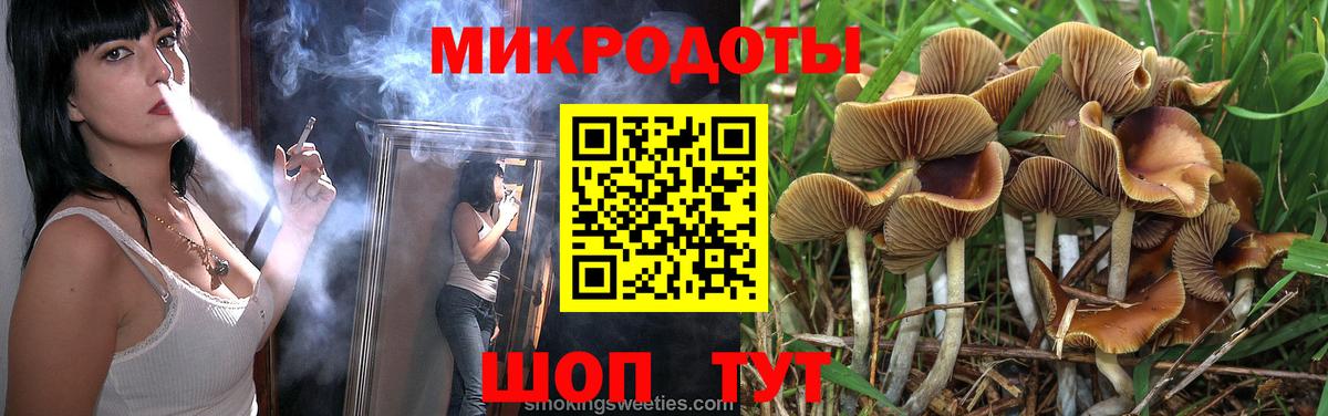 Крымск  Псилоцибиновые грибы Psilocybe  Вход с VPN 
