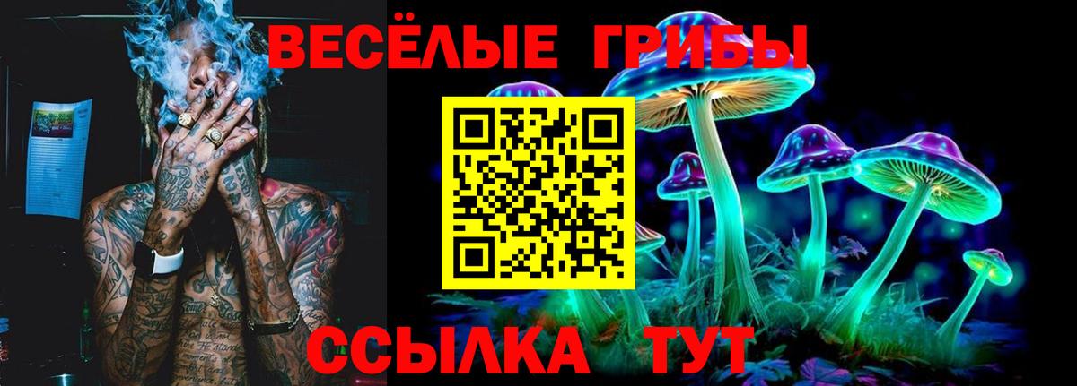 Галлюциногенные грибы MAGIC MUSHROOMS Крымск