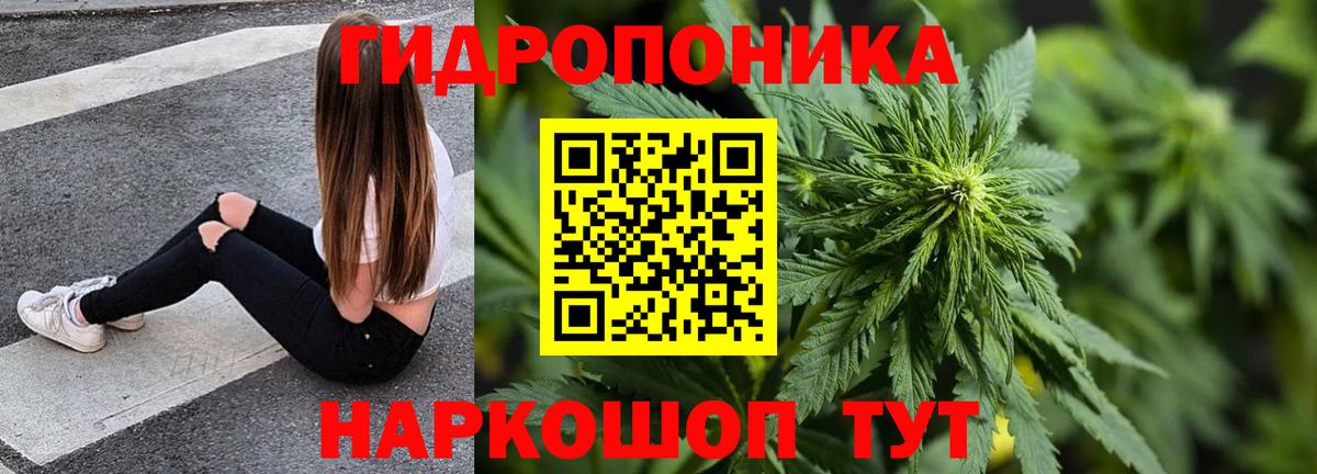 Канабис план  МАРИХУАНА Bruce Banner  Конопля семена  Вход с VPN  Крымск 